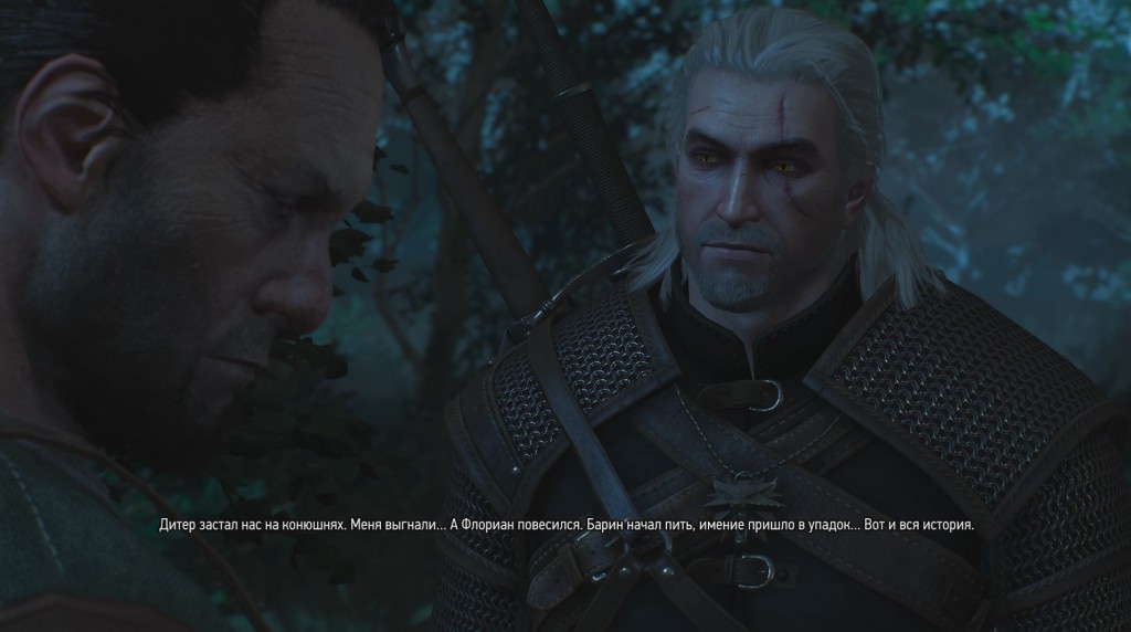 witcher gay